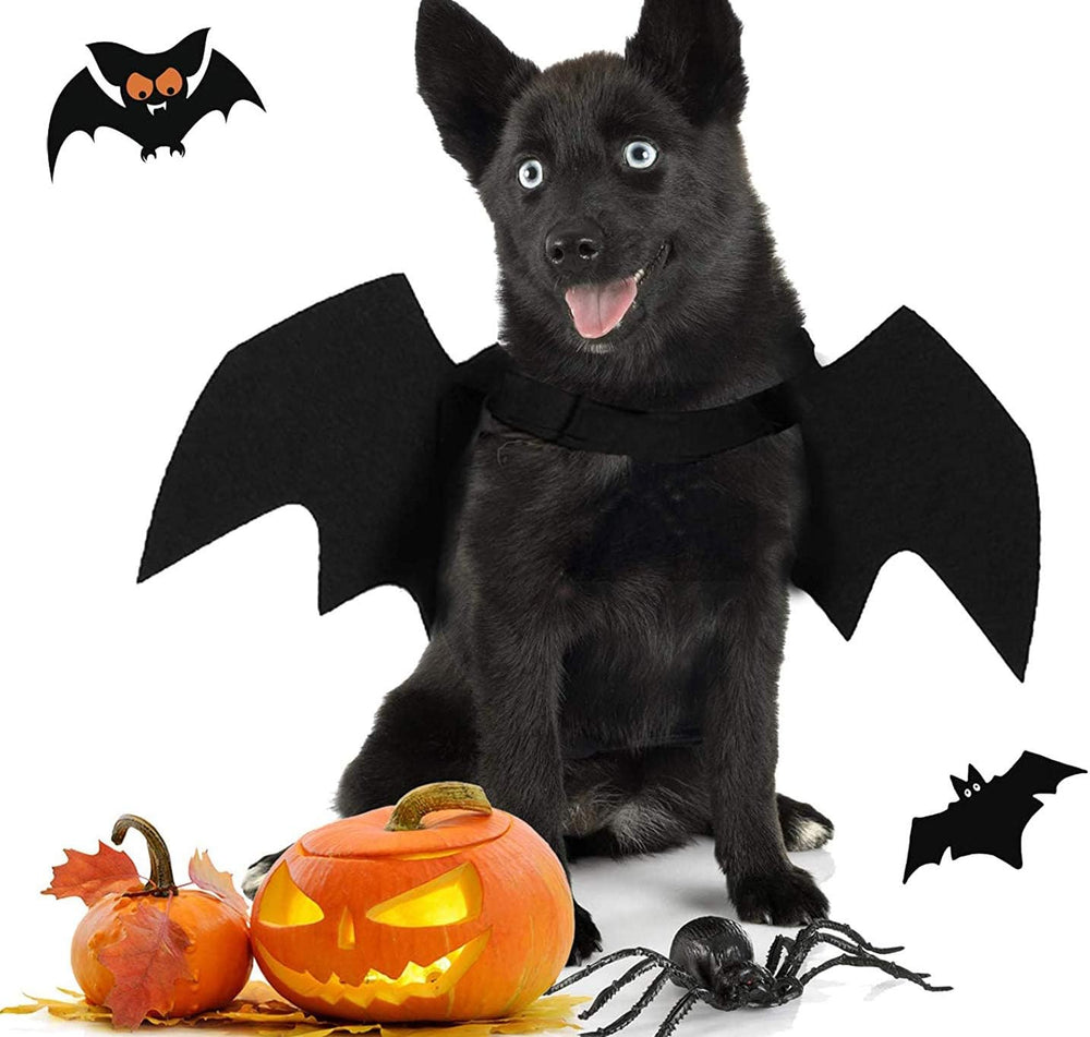 Halloween Dog Costume Pet Bat Wings for Adjustable Funny Cat Bat Wings Party Outfit Cosplay Apparel for Small Medium Large Dogs Doggy (S)