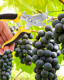 3 Pack Garden Pruning Shears, Stainless Steel Garden Shears, Gardening Shears, Gardening Scissors, Garden Scissors, Garden Clippers, Pruning Snips, Pruning Shears for Gardening Garden Tools