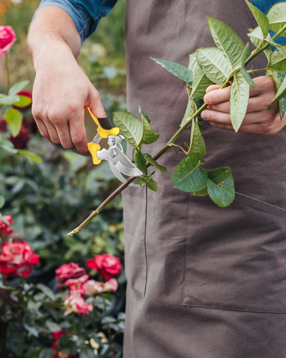 3 Pack Garden Pruning Shears, Stainless Steel Garden Shears, Gardening Shears, Gardening Scissors, Garden Scissors, Garden Clippers, Pruning Snips, Pruning Shears for Gardening Garden Tools