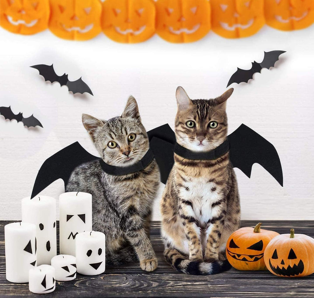 Halloween Dog Costume Pet Bat Wings for Adjustable Funny Cat Bat Wings Party Outfit Cosplay Apparel for Small Medium Large Dogs Doggy (S)